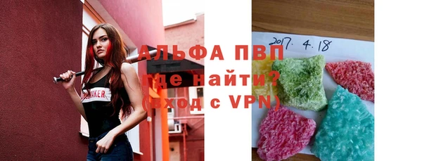 прущие грибы Белокуриха