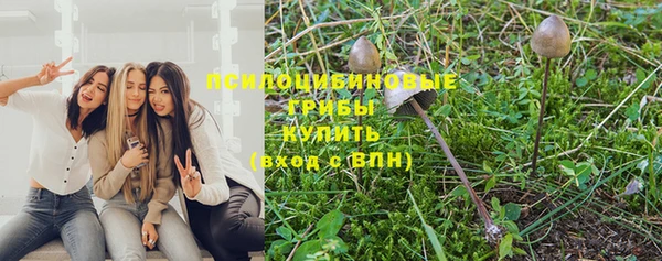 прущие грибы Белокуриха