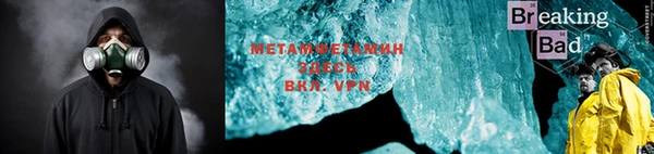 прущие грибы Белокуриха