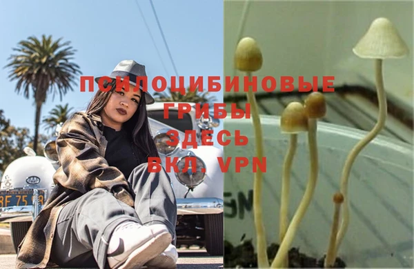 СК Баксан