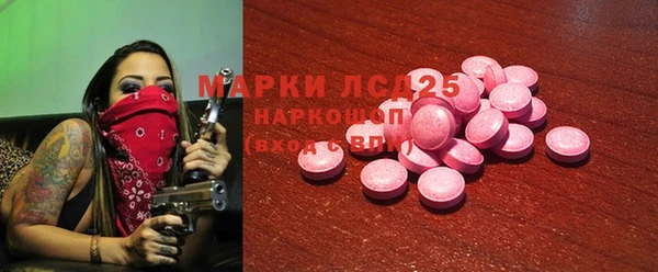 прущие грибы Белокуриха