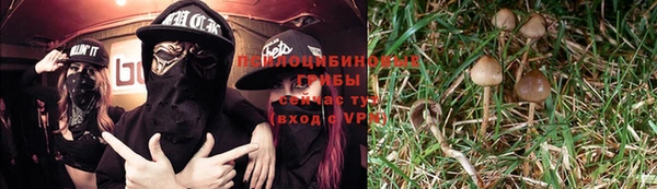 трава Балахна