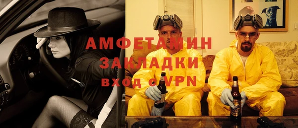 прущие грибы Белокуриха