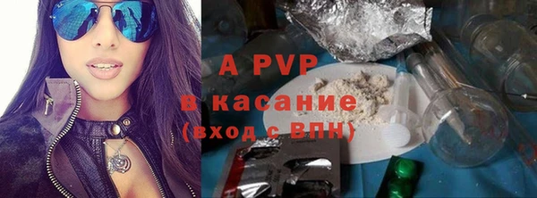 прущие грибы Белокуриха