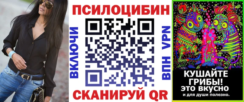 где продают наркотики Болохово мега рабочий сайт Псилоцибиновые грибы мухоморы